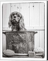 Framed Vintage Puppy Bath
