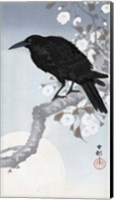 Framed Crow at Full Moon, 1900-1930