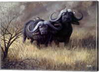 Framed Dugga Boys Caped Buffalo
