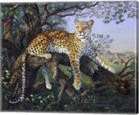 Framed Leopard's Domain