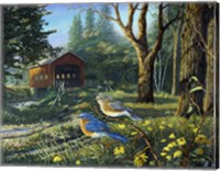 Framed Sleepy Hollow Bluebirds