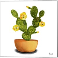 Framed 'Cactus Flowers III' border=