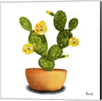 Framed 'Cactus Flowers III' border=