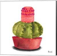 Framed Cactus Flowers IV