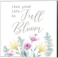 Framed 'Full Bloom I' border=