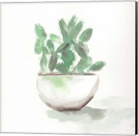 Framed Watercolor Cactus Still Life III