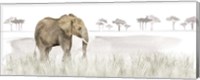 Framed Serengeti Elephant horizontal panel