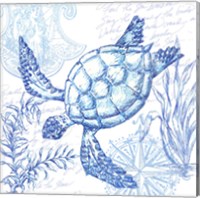 Framed 'Coastal Sketchbook Turtle' border=
