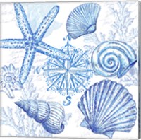 Framed Coastal Sketchbook Shell Toss