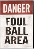Framed Foul Ball Area