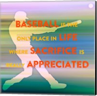 Framed Baseball Is The Only Place
