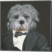 Framed Dog in Suit