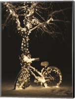 Framed Snowy Bicycle