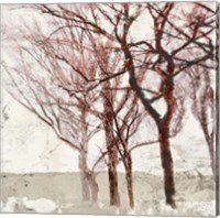 Framed 'Rusty Trees II' border=