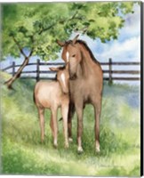 Framed 'Farm Family Horses' border=