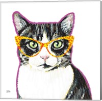 Framed 'Bespectacled Pet III' border=