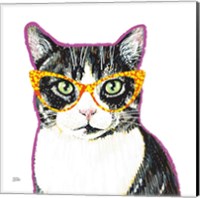 Framed Bespectacled Pet III