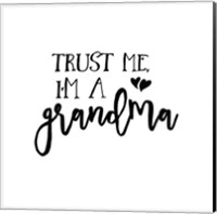 Framed Grandma Inspiration I