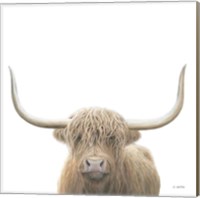 Framed Highland Cow Sepia Sq