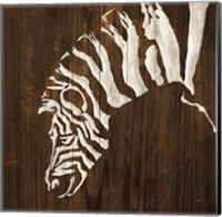 Framed White Zebra on Dark Wood