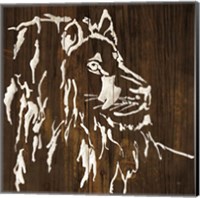 Framed White Lion on Dark Wood