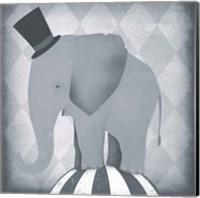 Framed Circus Elephant Gray