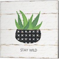 Framed Stay Wild