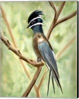Framed Bird on Branch