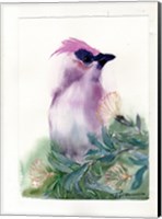 Framed Purple Bird