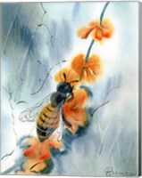 Framed Bee III