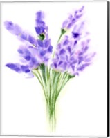 Framed Purple Flowers IV