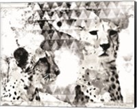 Framed 'Modern Black & White Cheetahs' border=