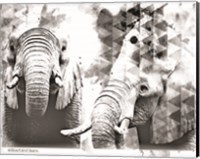 Framed 'Modern Black & White Elephants' border=