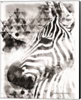 Framed Modern Black & White Zebra
