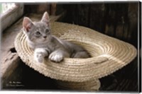Framed Hat Kitten