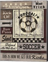 Framed Soccer Goal