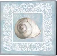 Framed Sandy Shells Blue on Blue Snail