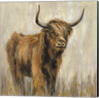 Framed Highland Mountain Cow