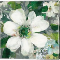 Framed 'Anemone and Friends V' border=