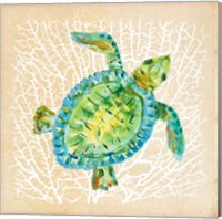 Framed 'Sealife Turtle' border=