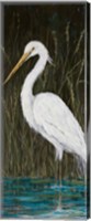 Framed White Egret