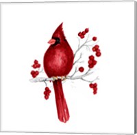 Framed 'Winter Cardinal in Red II' border=