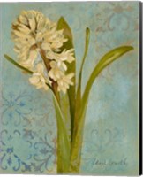 Framed 'Hyacinth on Teal I' border=