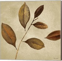 Framed 'Antiqued Leaves I' border=