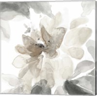 Framed Soft May Blooms I