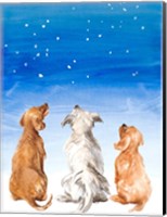 Framed Three Dogs Star Gazing