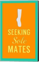 Framed Seeking Sole Mates