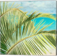 Framed Bright Coconut Palm I