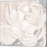 Framed 'White Grey Flower I' border=