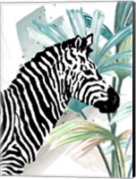 Framed Tropical Zebra